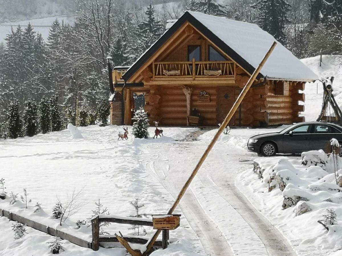 Forest Glade Recica ob Savinji